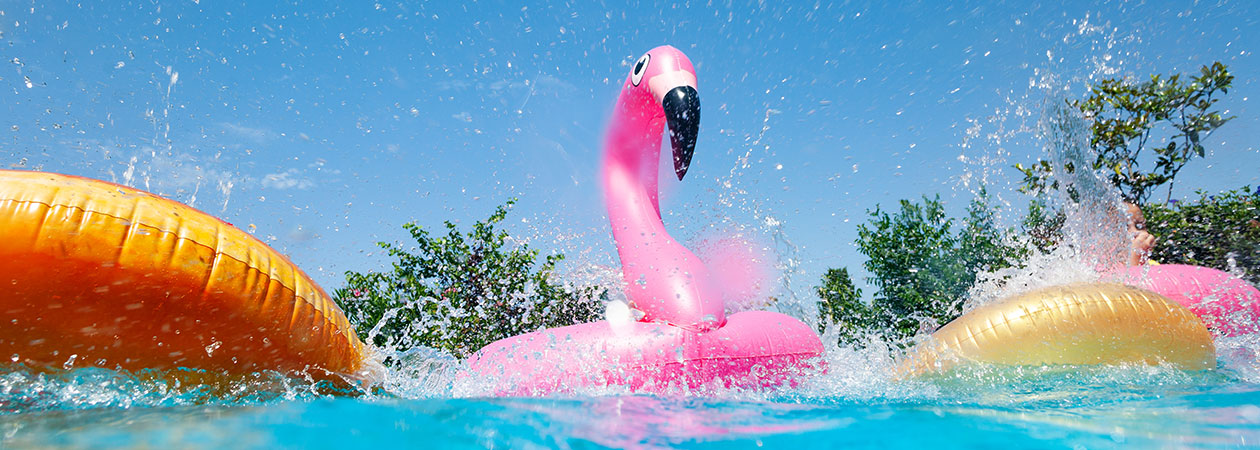 Poolpflege im Urlaub, Flamingo im Wasser